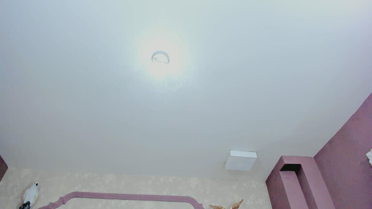 ValeryMoss's Streamate show and profile